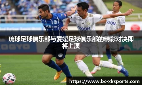 星空体育官网
