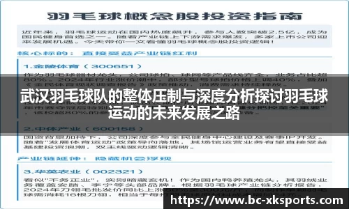武汉羽毛球队的整体压制与深度分析探讨羽毛球运动的未来发展之路
