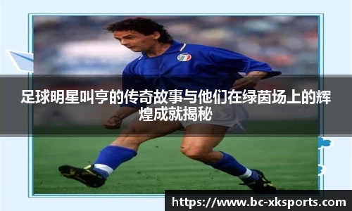 足球明星叫亨的传奇故事与他们在绿茵场上的辉煌成就揭秘